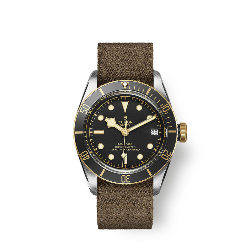 Montre Tudor Black Bay S&G 41 mm automatique cadran noir bracelet en tissu brun